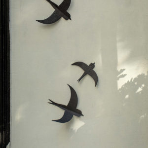 swallows zwaluwen vogels vtwonen